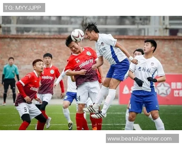 中国足球明星现状与未来发展探讨及其对国内足球的影响