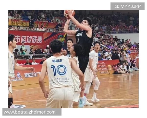 舟山篮球明星阵容全解析带你了解本地优秀球员的成长与成就